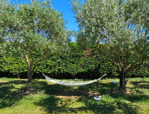 jardin3